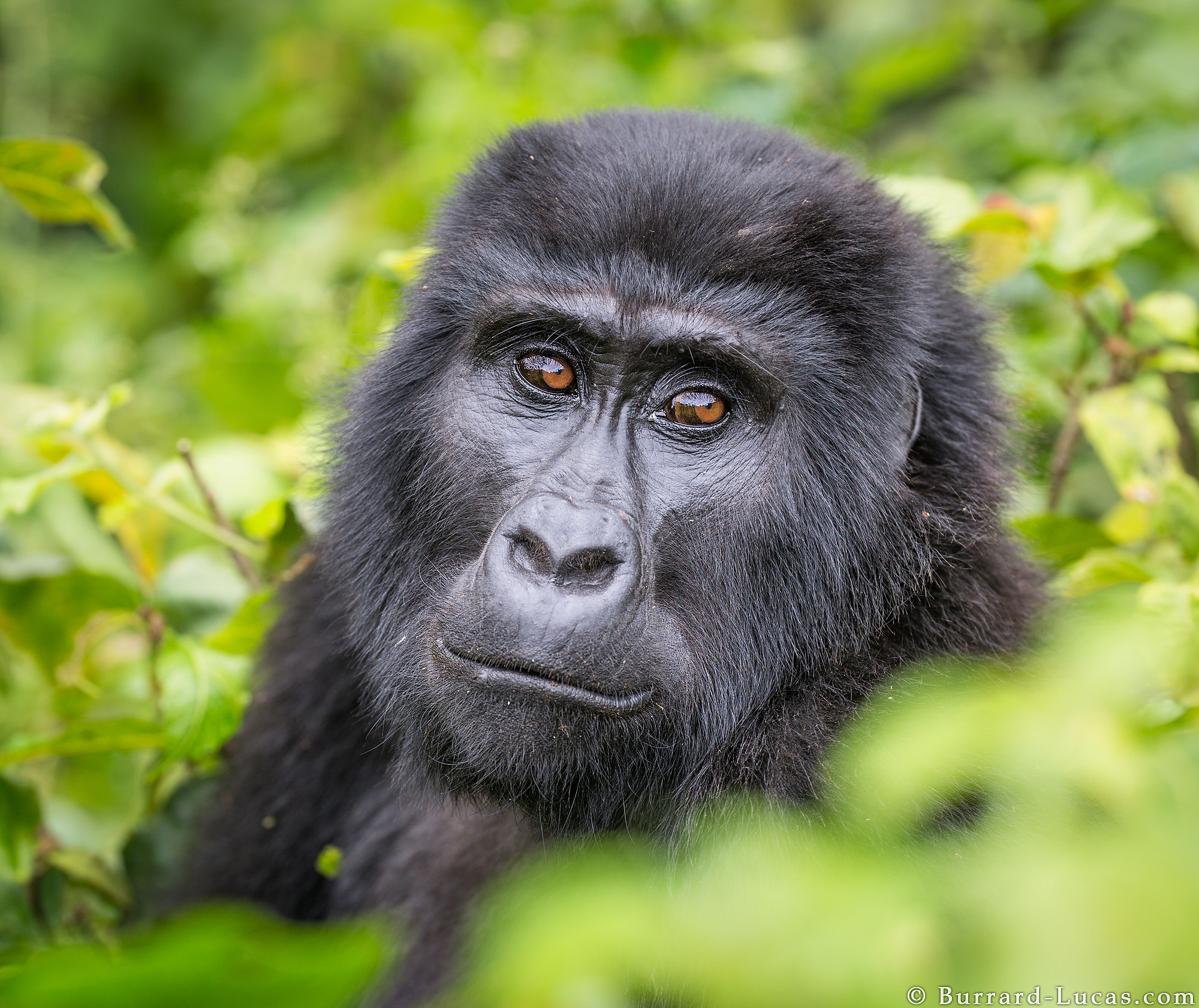Rwanda