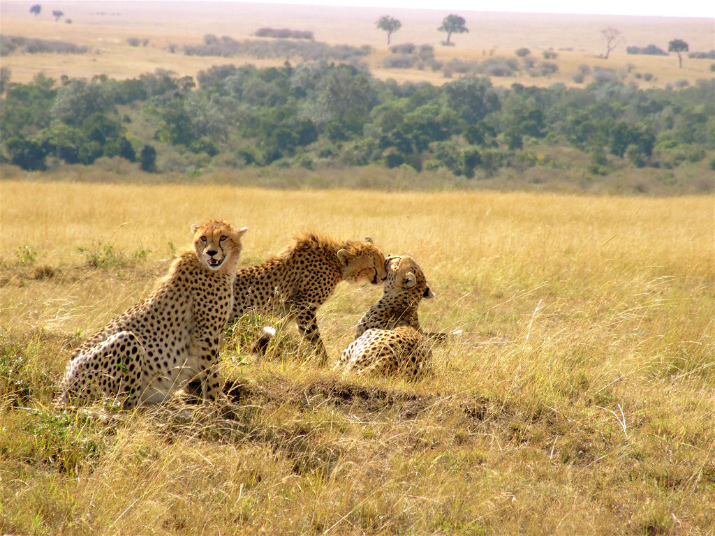 Kenya