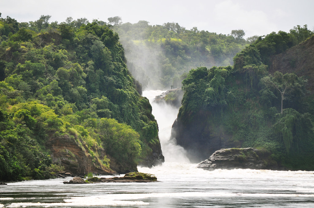 UGANDA SAFARIS